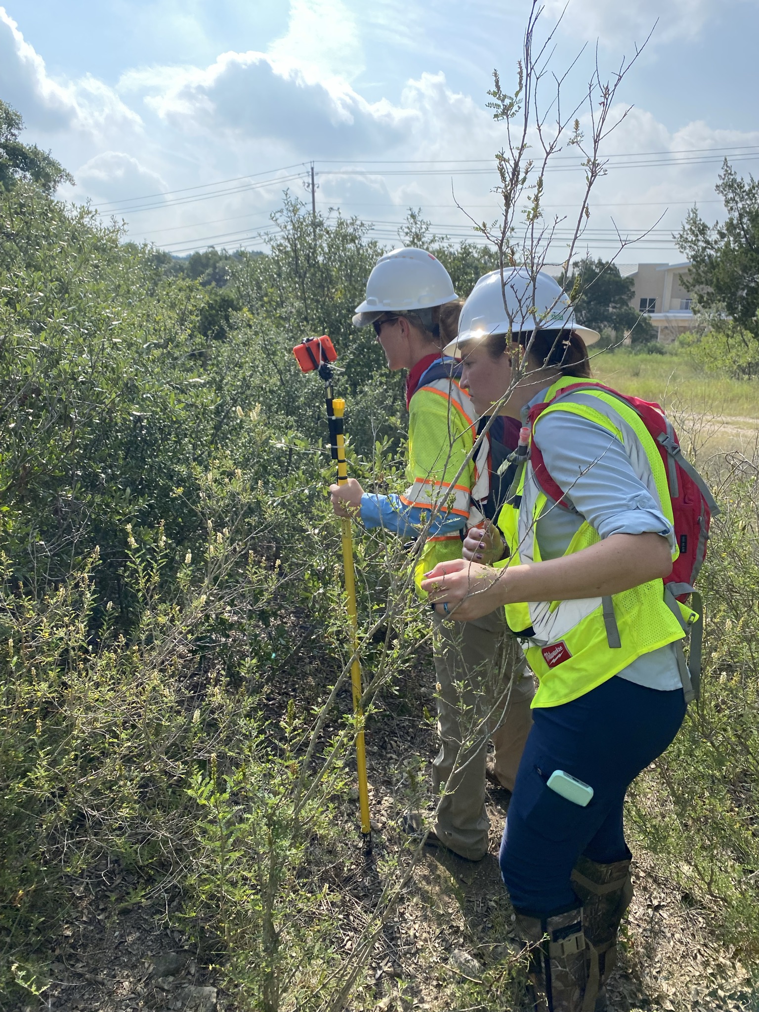 Trained ecologists conduct mandatory bird nesting surveys in state right-of-way ahead of construction activities beginning near US 290 and Convict Hill Road. September 2021